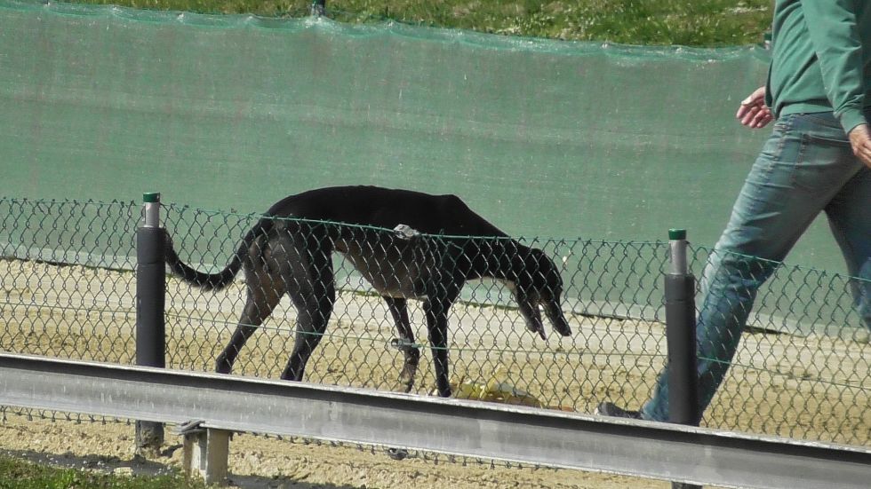 image013.jpg