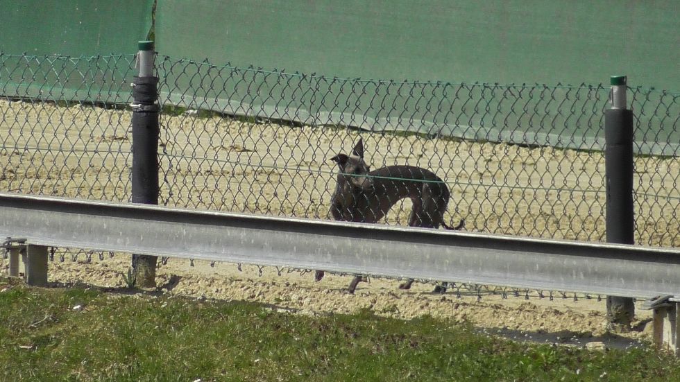 image023.jpg