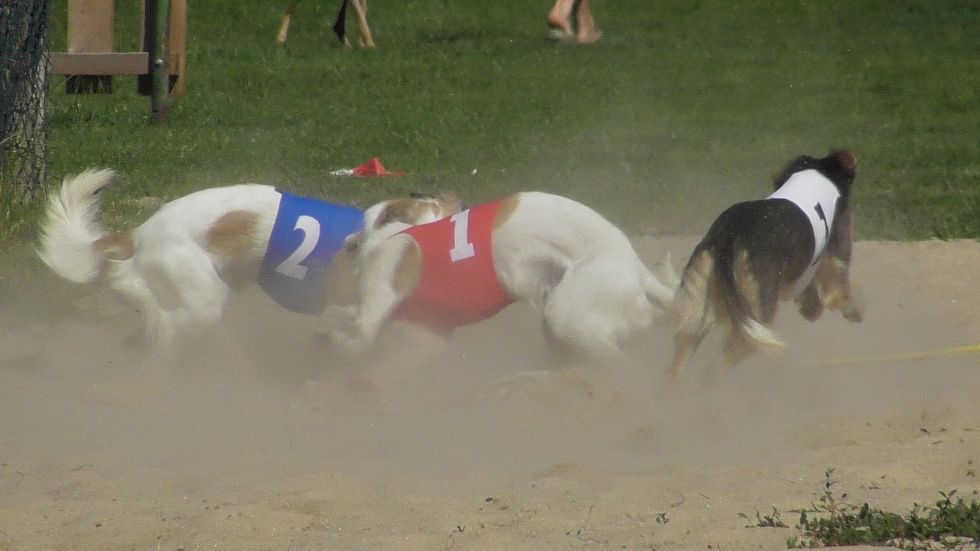 image018.jpg