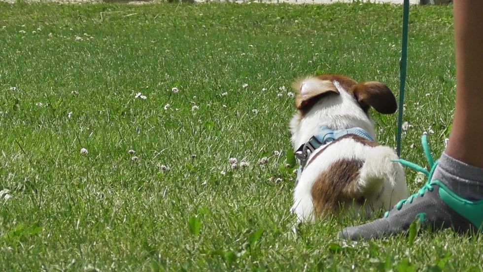 image076.jpg