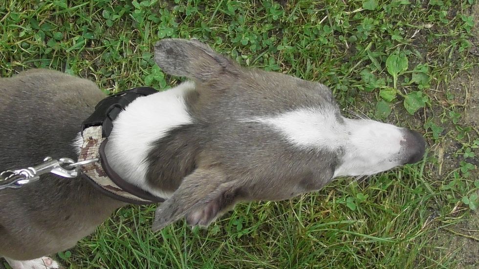 image034.jpg