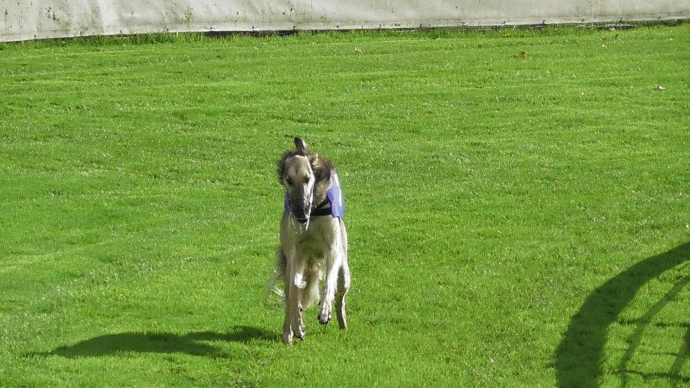image021.jpg