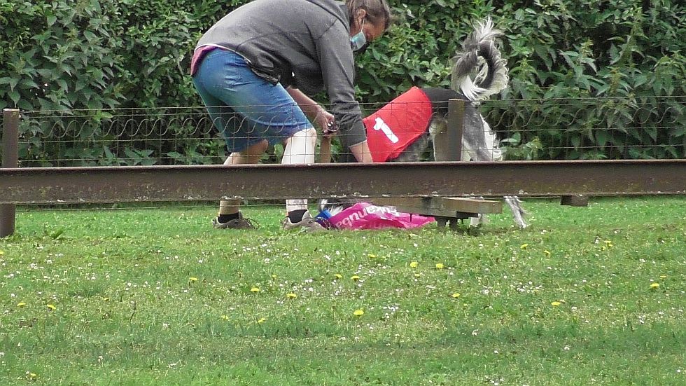 S2040039.JPG