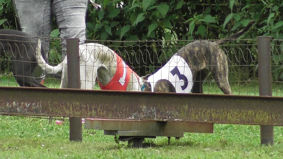 S2040072.JPG